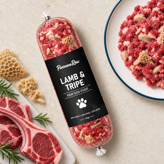 Lamb & Tripe Complete 454g | 80/10/10 lifestyle image