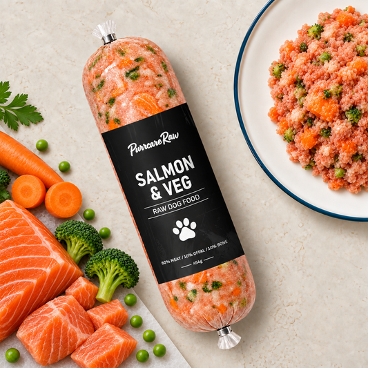 Salmon & Veg 454g | 80/10/10 lifestyle image