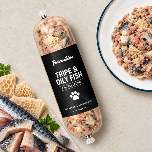 Tripe & Oily Fish Complete 454g | 80/10/10 lifestyle image