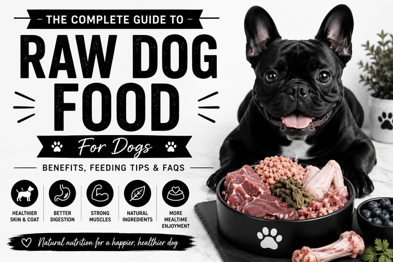 The Complete Guide To Raw Dog Food For Dogs