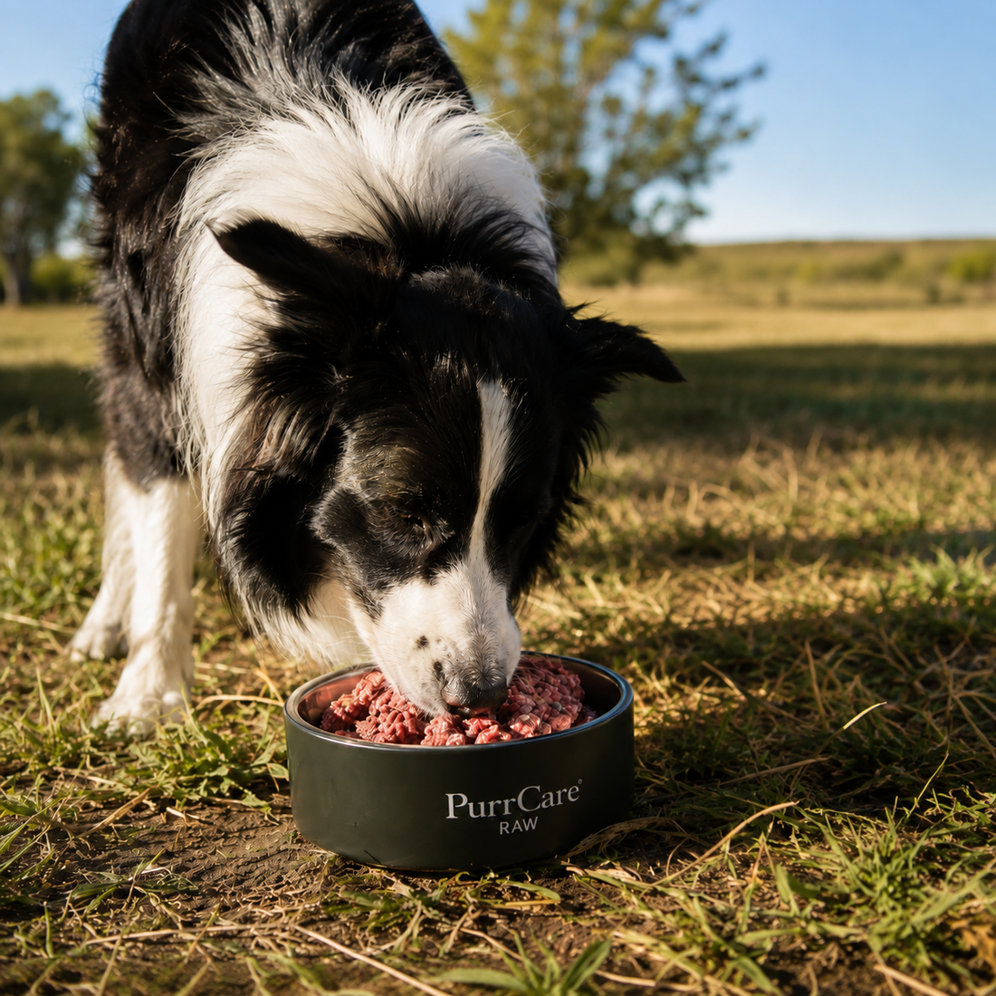 Better Bowls