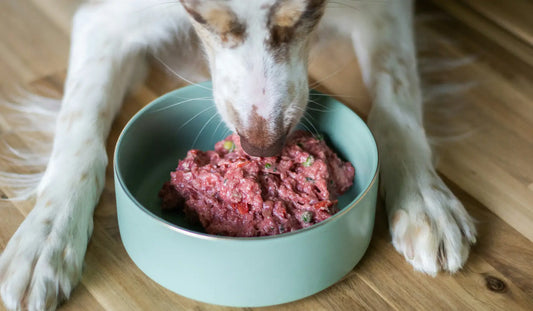 The Complete Guide To Raw Dog Food For Dogs