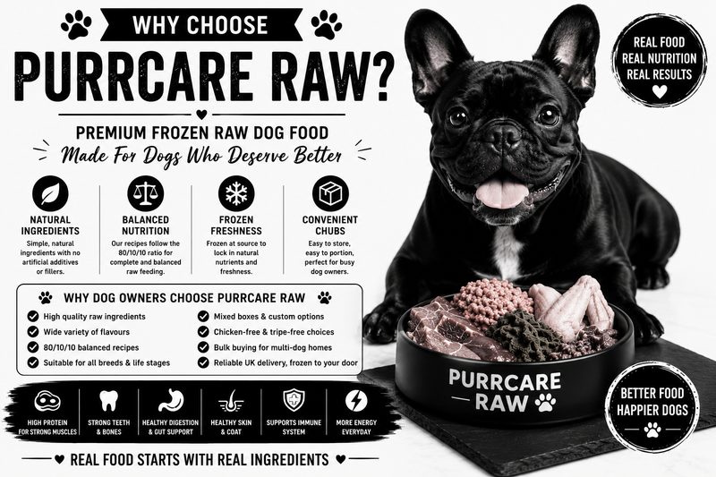 Why Choose Purrcare Raw?