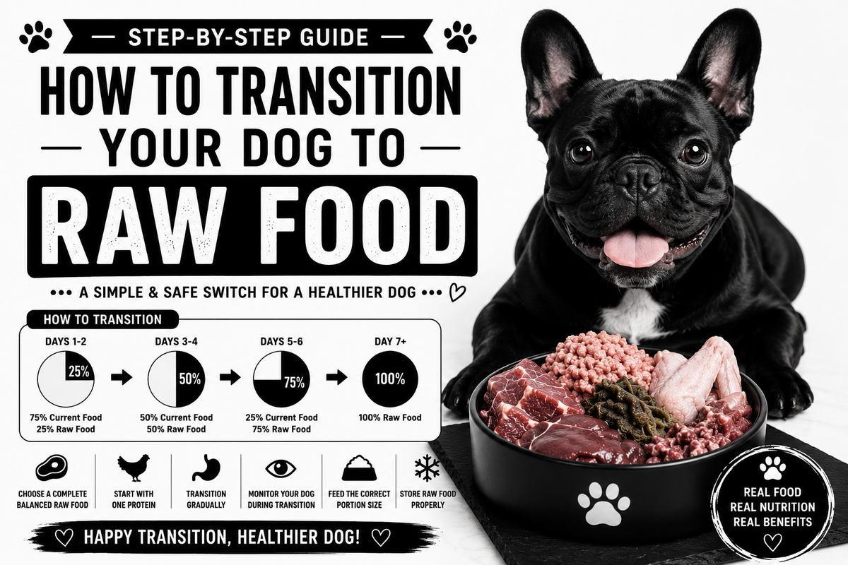 How To Transition Your Dog To Raw Food
