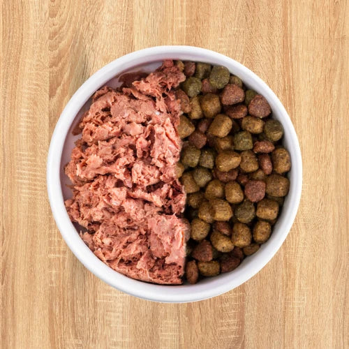 How To Transition Your Dog To Raw Food