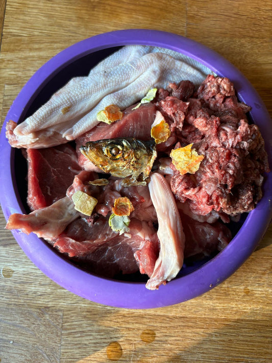 Building a Healthy Raw Feeding Routine