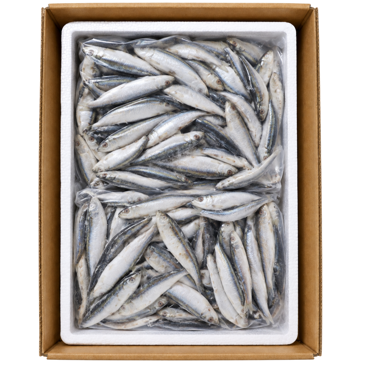 Frozen whole sprats raw fish treats for dogs