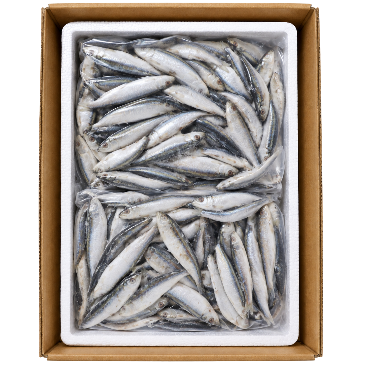 Frozen Sprats - Omega-3 Rich Raw Fish