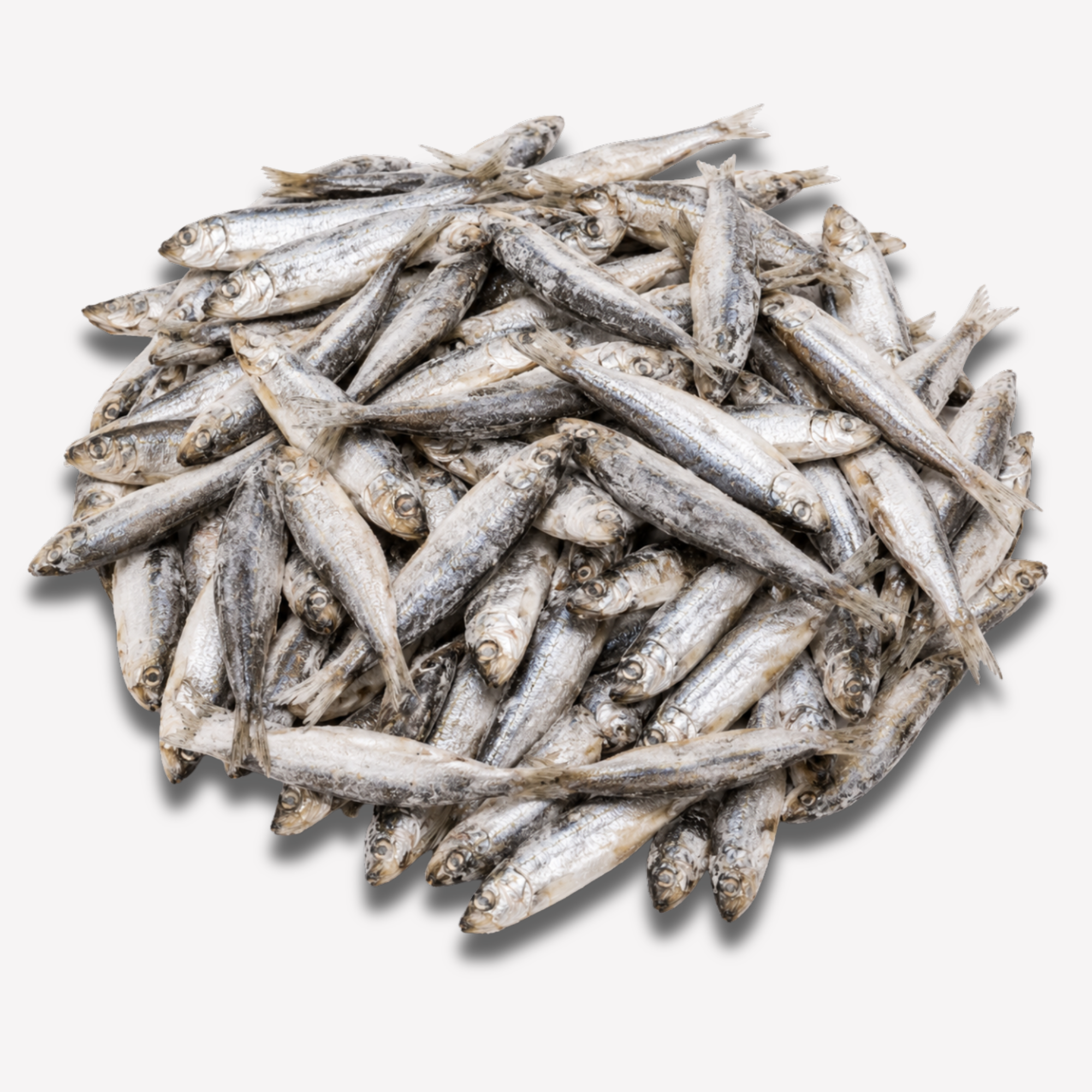 Frozen Sprats - Omega-3 Rich Raw Fish