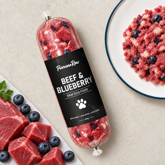 Beef & Blueberry Complete 454g | 80/10/10 lifestyle image