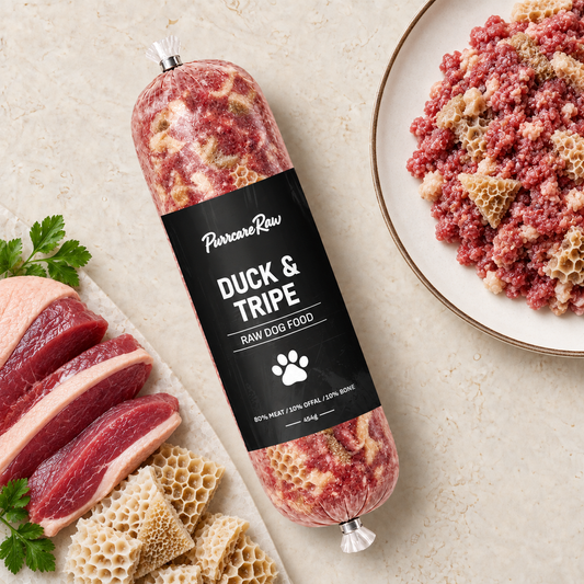 Duck & Tripe 454g | 80/10/10 lifestyle image