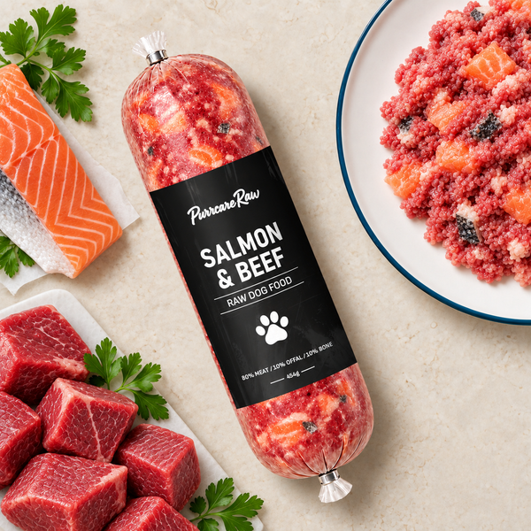 Salmon & Beef 454g | 80/10/10